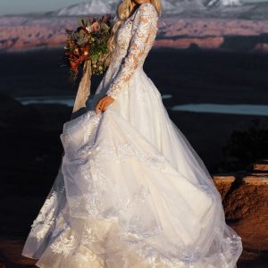 Wedding Gowns Under $3500.00